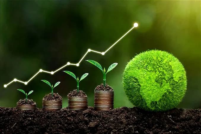 2025 Sürdürülebilirlik Trendleri ve Tüketici Beklentileri