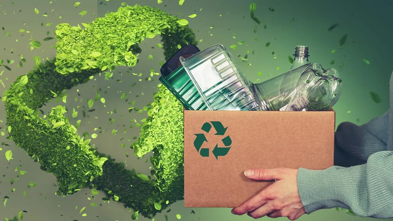 Archive - Zero Waste Foundation